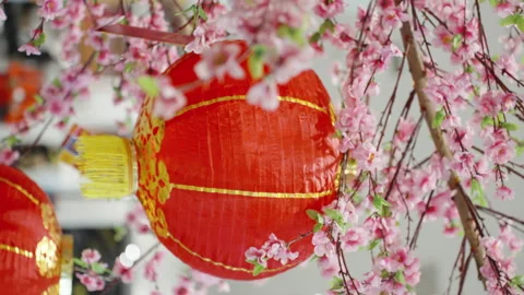 Vertical screen: Red Chinese lantern and sakura flowers decorations for New Year Stock Footage 230429575
