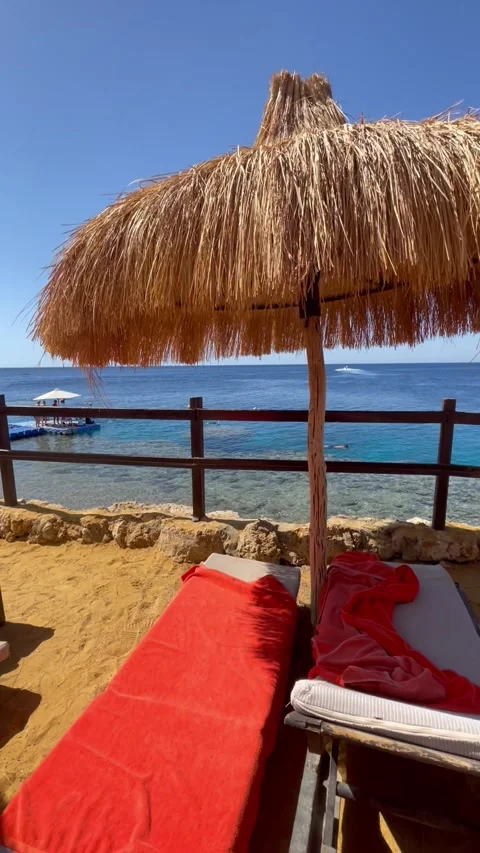 Vertical screen relaxing beach scene with straw parasol shading sunbeds covered  Stock Footage 317086530
