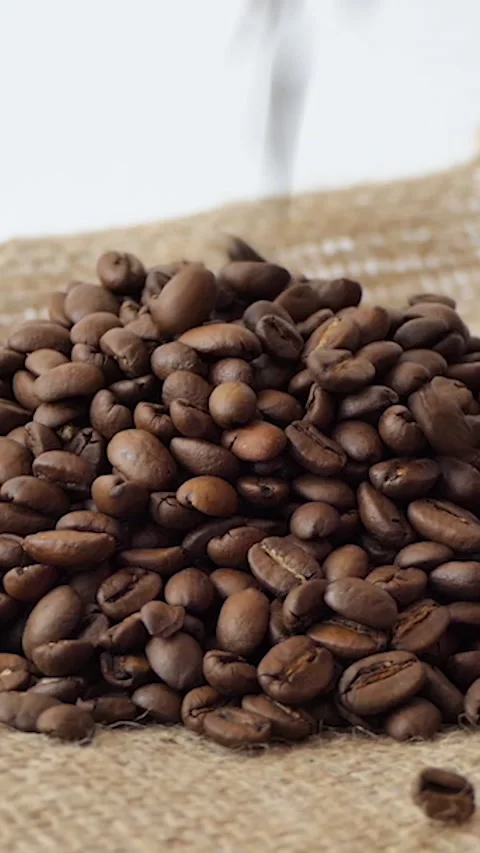 Vertical Screen: Roasted Coffee Beans falling. Fragrant coffee beans are roasted Stock Footage 229974781