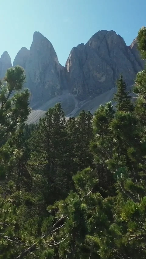 Vertical Screen Rugged Cliffs And Lush Pine Woodland Create Striking Views Stock Footage 325825485