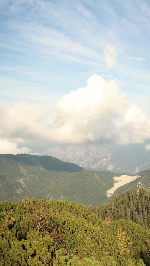 Vertical screen scenic mountain landscape with green forested hills under bright Stock Footage 318219909