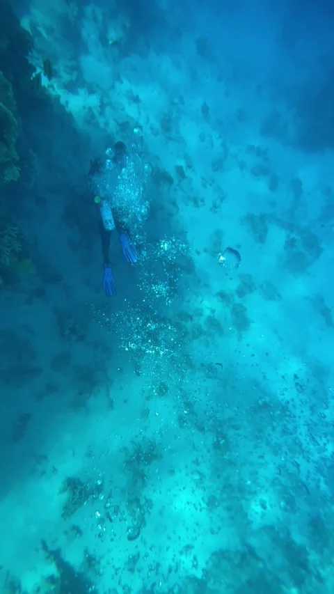 Vertical screen scuba diver swims near coral reef releasing bubbles into clear b Stock Footage 317086617