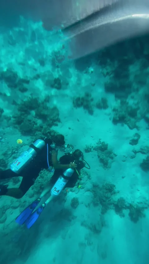 Vertical screen scuba divers swim together near coral reef in clear turquoise se Stock Footage 317086613
