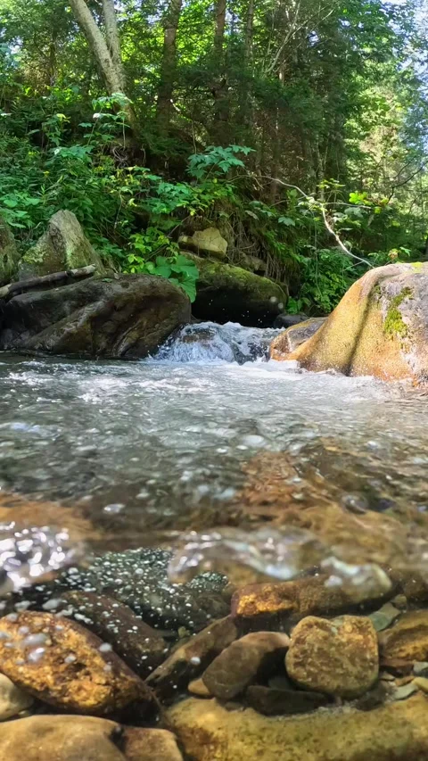 Vertical Screen shot of River with clear water in the tropical rainforest. Half Video stock 270819701