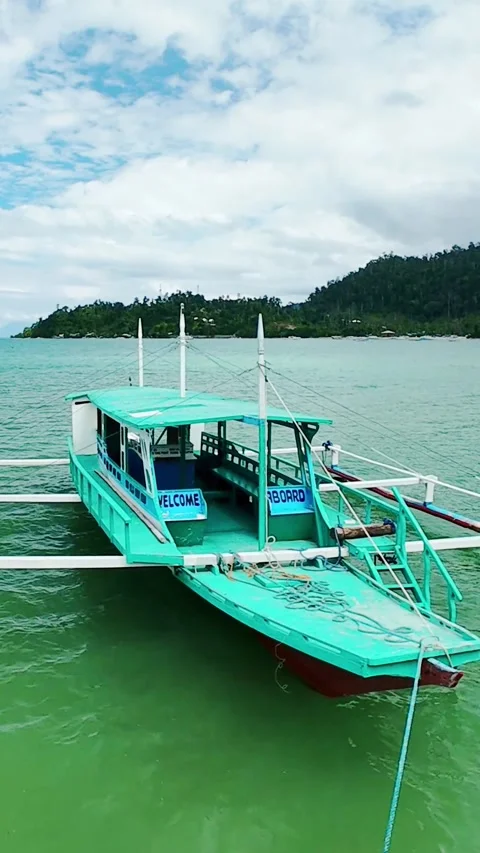 Vertical screen side view of traditional Filipino boat anchored in green coastal Stock Footage 318722293