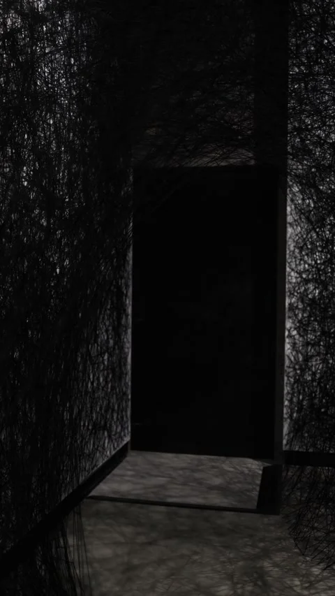 Vertical screen. Sinister doorway: A dark entrance shrouded in tangled black thr Stock Footage 304459178