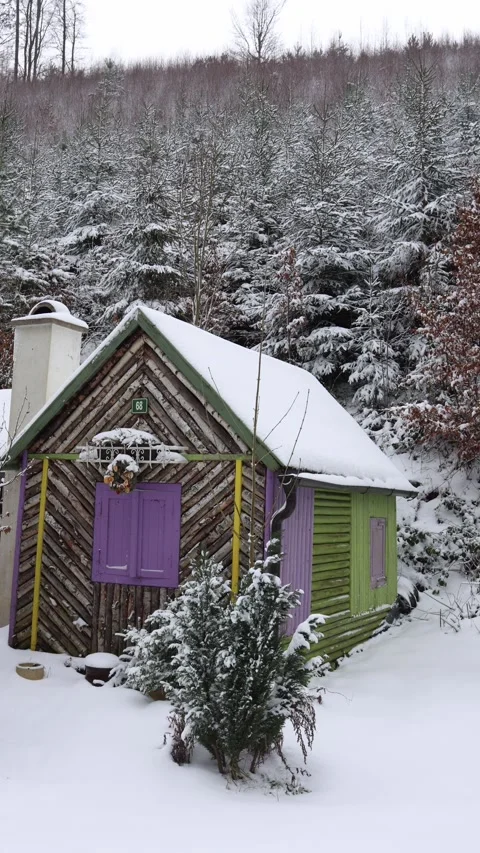 Vertical screen: A small rustic wooden cabin with vibrant purple and green accen Stock Footage 299308254