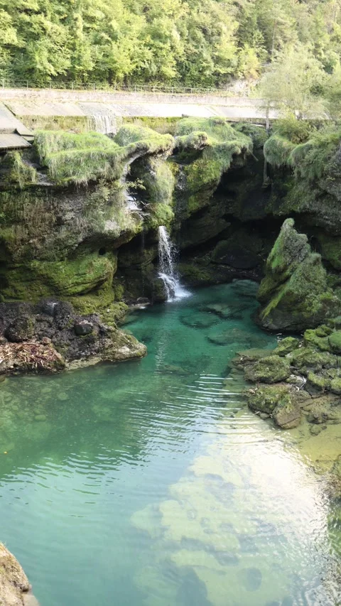 Vertical screen small waterfall flowing into turquoise natural pool surrounded b Stock Footage 318778534