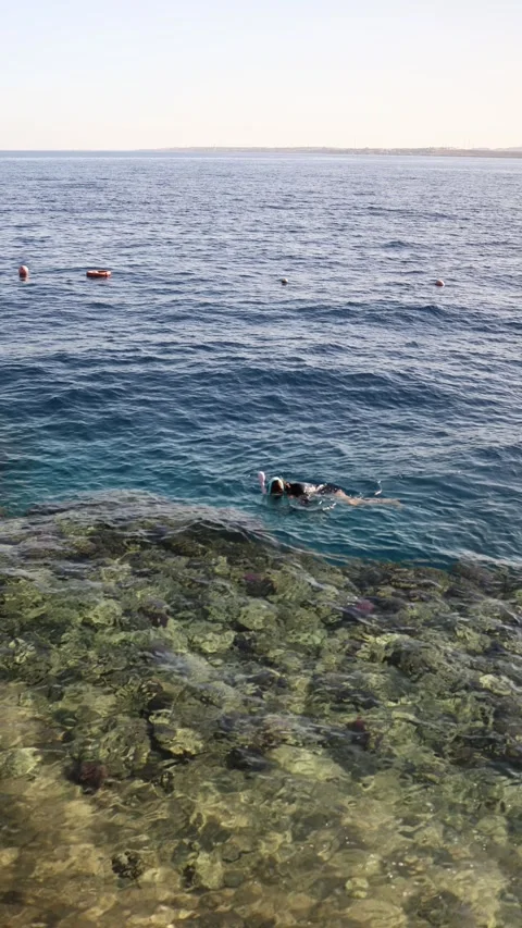 Vertical screen – a snorkeler glides above a shallow coral reef in pristine, cle Stock Footage 310485560
