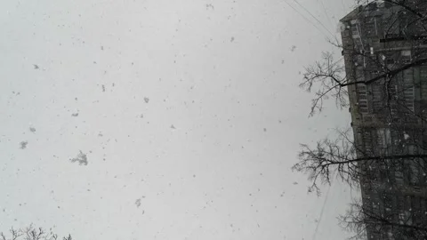 Vertical Screen: Snow is falling in the city. The atmosphere of cold and winter. Stock Footage 264036181