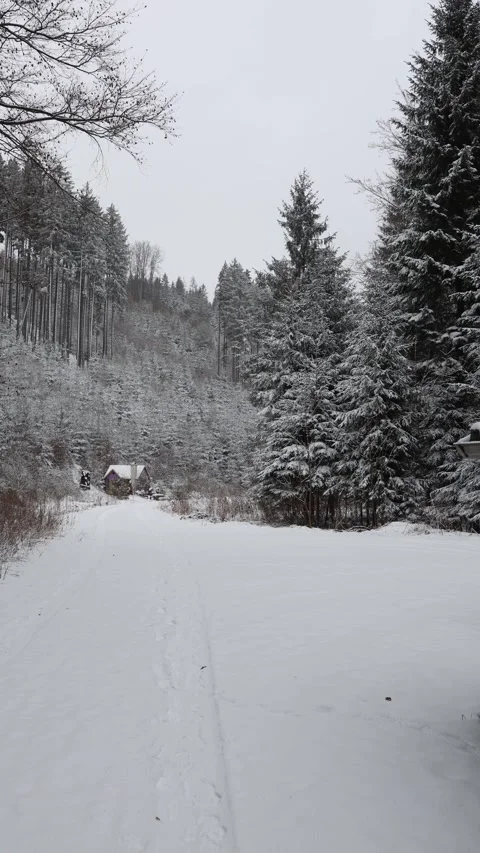 Vertical screen: A snowy path leads to a cozy cottage nestled in a winter forest Stock Footage 299306837
