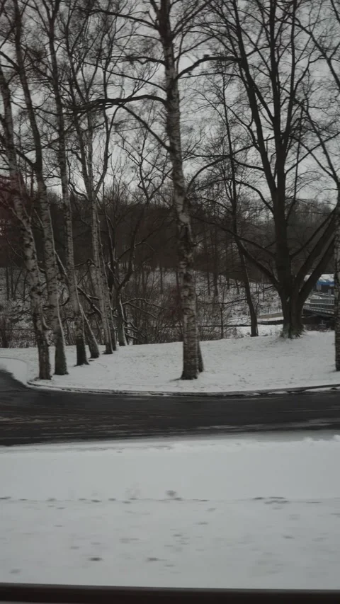 Vertical screen: A snowy rural scene with a small bridge, road signs, and bare t Stock Footage 299302807