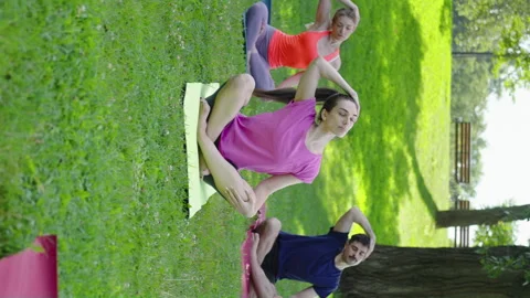 Vertical Screen: Sporty practitioners doing head bends together in sunny park Stock Footage 248130677