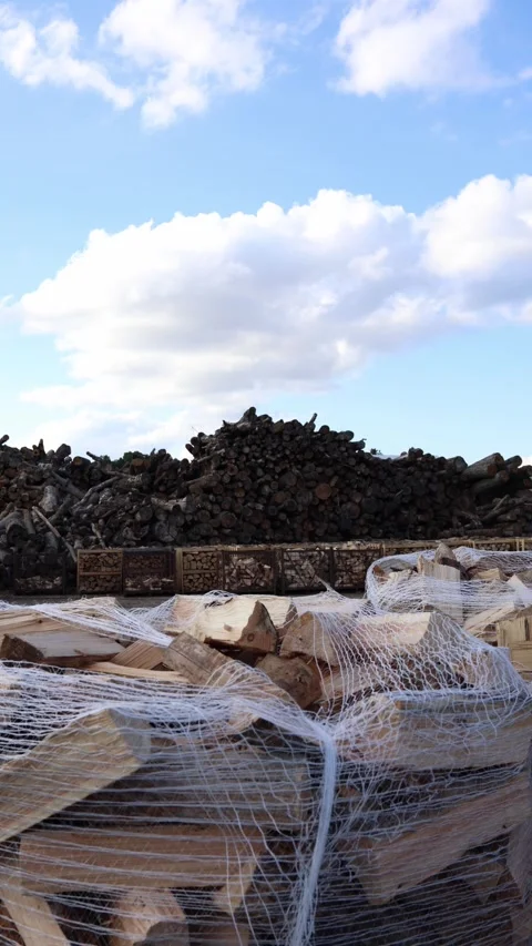 Vertical screen stacked firewood logs in net bags with large pile of timber in b Stock Footage 318217664