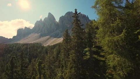 Vertical Screen Sunlit Pine Foreground And Distant Peaks, Low Aerial Glide Stock Footage 325825084