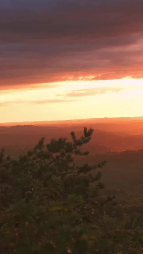 Vertical screen sunset over appalachian mountain ridges orange glow through Stock Footage 323242302
