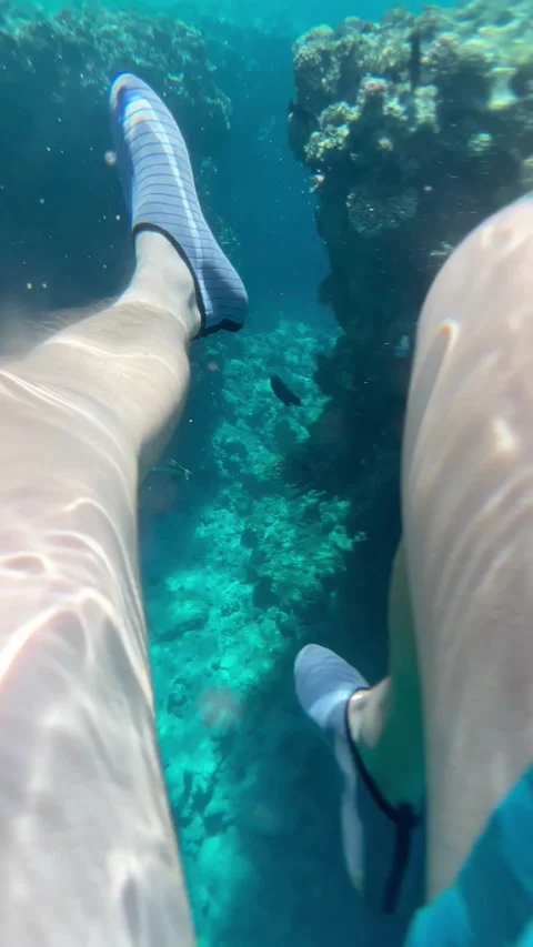 Vertical screen swimmer legs with water shoes move above coral reef in clear tur Stock Footage 317086575