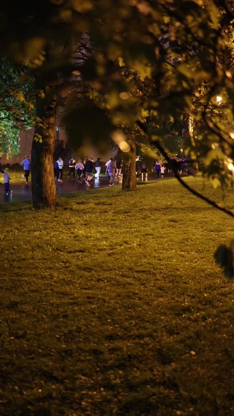 Vertical screen: Through the leaves and trees, a group of night runners can be s Stock Footage 307623455