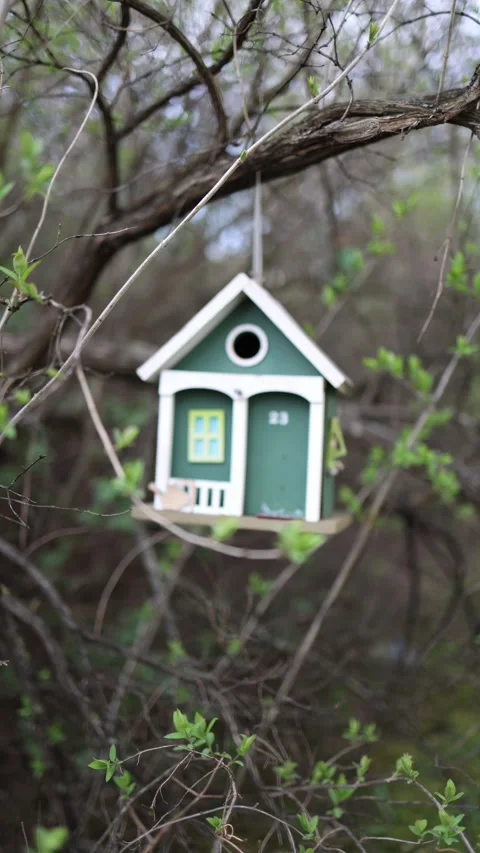 Vertical screen tiny green birdhouse hanging on spring tree branch surrounded by Stock Footage 306007681