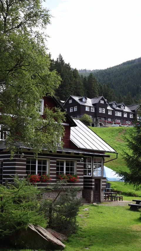 Vertical screen traditional mountain lodge with striped facade red flowers on wi Stock Footage 315940116
