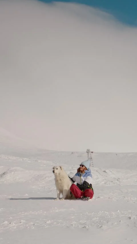 Vertical Screen Training her pet to stay still in nature on calm winter day. Stock Footage 299996238