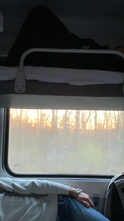 Vertical screen: A tranquil view of the sunset through a frosted train window, w Video stock 296283971