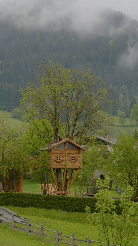Vertical Screen Tree house being built in the yard of hotel Stock Footage 303442936