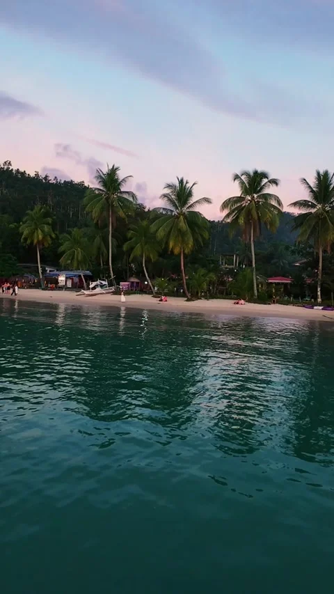 Vertical screen tropical beach with palm trees at Port Barton, Philippines Vídeo Stock 319673552