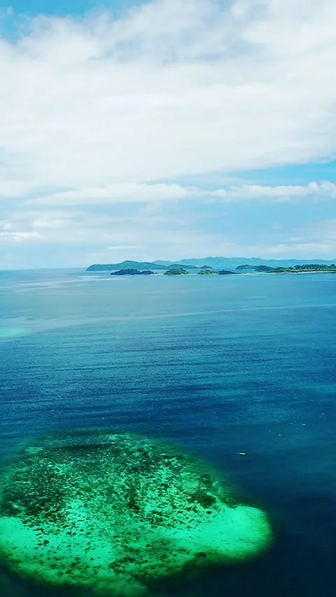Vertical screen tropical reef and ocean landscape in Palawan, Philippines Stock Footage 319738391