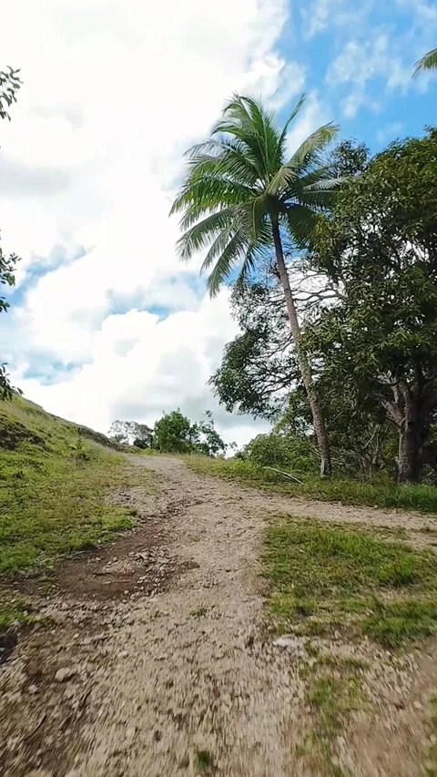 Vertical screen Uphill Rocky Trail Siquihor Flanked By Palms And Shrubs, Close Stock Footage 336742069