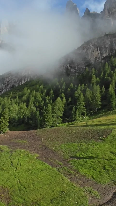 Vertical screen veiled landscape with moist earth and soft glow, gentle fog Stockbeeldmateriaal 323149054