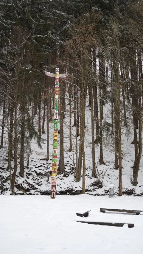 Vertical screen: A vibrant totem pole stands tall amidst a snowy forest, surroun Stock Footage 299304050