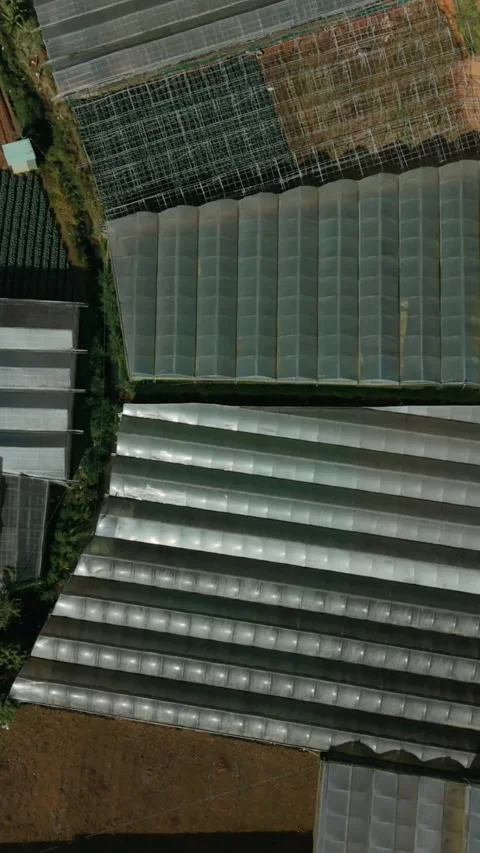 Vertical screen, Vietnam, Da Lat Aerial Greenhouse Fields Dalat Vietnam Mosaic Stock Footage 338048402