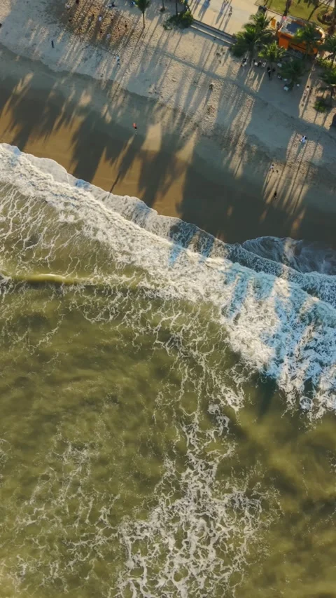 Vertical screen, Vietnam, Da Nang Goldenhour Da Nang Beach With Palm Shadows Stock Footage 338065109