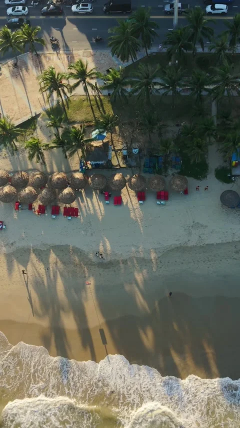 Vertical screen, Vietnam, Da Nang Beachfront Umbrellas And Palm Promenade In Da Stock Footage 340000359