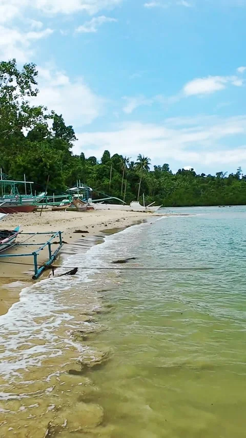 Vertical screen view of tropical beach with boats, trees and clear shoreline in Stock Footage 318723357