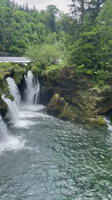 Vertical screen water flows quickly through the wild nature small waterfalls are Stock Footage 296532714