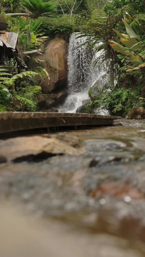 Vertical screen Wide Waterfall Vista With Flowing Riverbed Foreground And Stock Footage 330834876