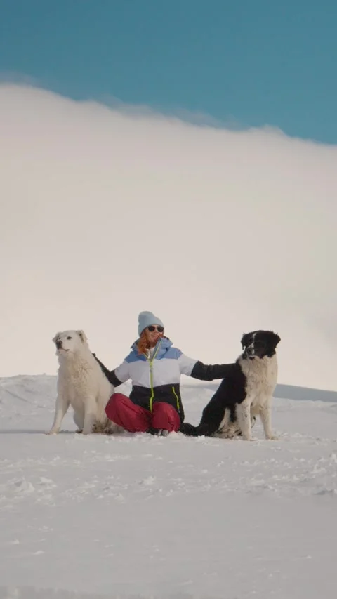 Vertical Screen Woman being protected by two huge dogs from strangers. Stock Footage 299996301