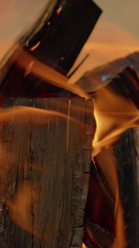 Vertical Screen Wood fire burning for barbecue preparation Stock Footage 303569323