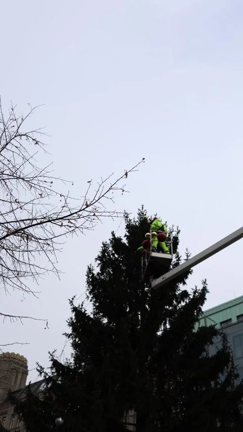 Vertical screen: A worker in bright safety gear decorates the top of a large Chr Stock Footage 297264483