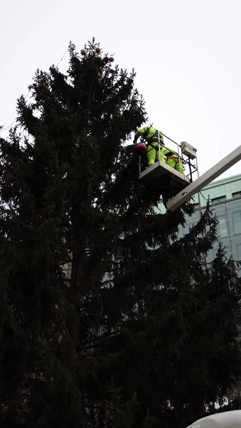 Vertical screen: Workers in bright safety gear decorate a large Christmas tree u Stock Footage 297264718