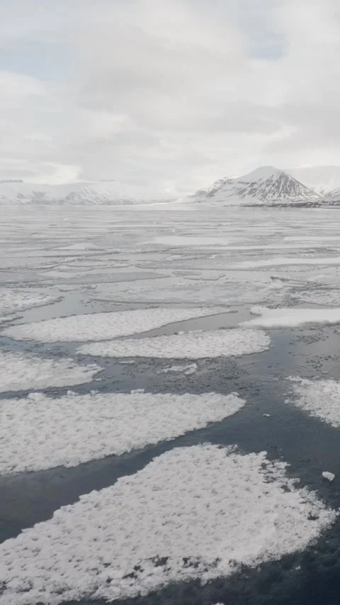 Vertical Sea Ice Drifting Through an Arctic Fjord in Svalbard Stock Footage 340035985