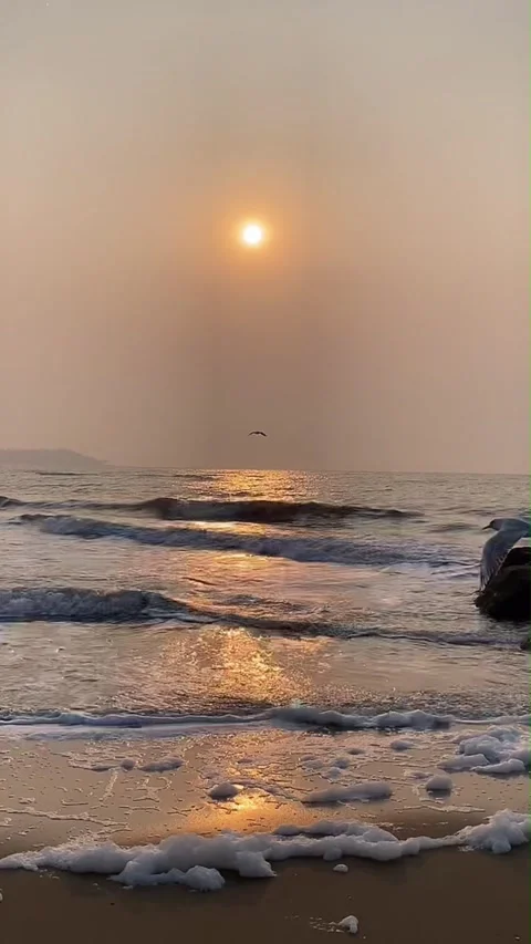 Vertical Seagulls Flying Over Ocean Sunset Stock Footage 332822722
