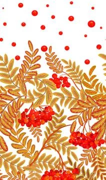 Vertical seamless background with red berries and branches of ripe rowan. Hand Illustrazione stock