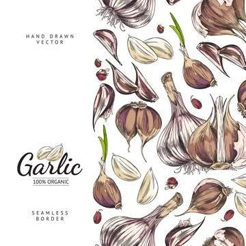 Vertical seamless border with hand drawn colorful garlic cloves and slices Stock Illustration
