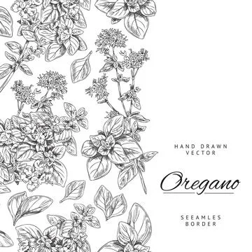 Vertical seamless border with hand drawn monochrome oregano leaves and flowers Stock Illustration