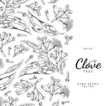Vertical seamless border with hand drawn monochrome clove spices sketch style Stock Illustration