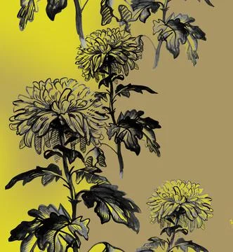 Vertical seamless border with ink sketch of Chrysanthemum flowers. Stock Illustration