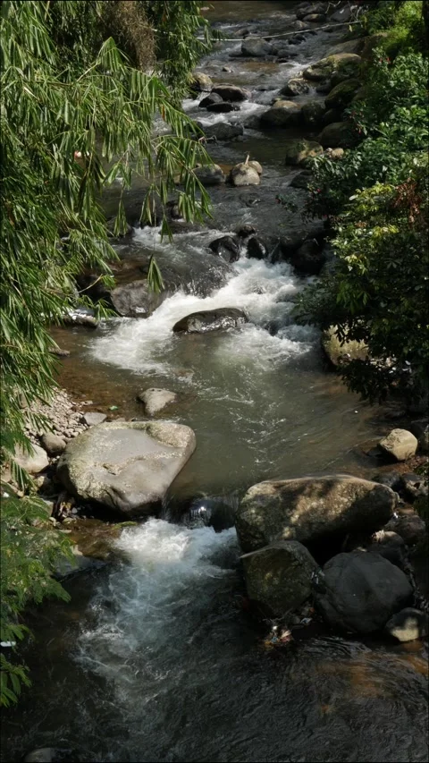 Vertical seamless loop of cinematic smooth mountain river stream. Stock Footage 336311025